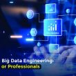 Who Can Learn Big Data Engineering_ Freshers or Professionals