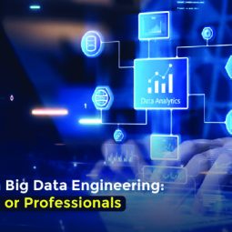 Who Can Learn Big Data Engineering_ Freshers or Professionals