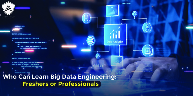 Who Can Learn Big Data Engineering: Freshers or Professionals